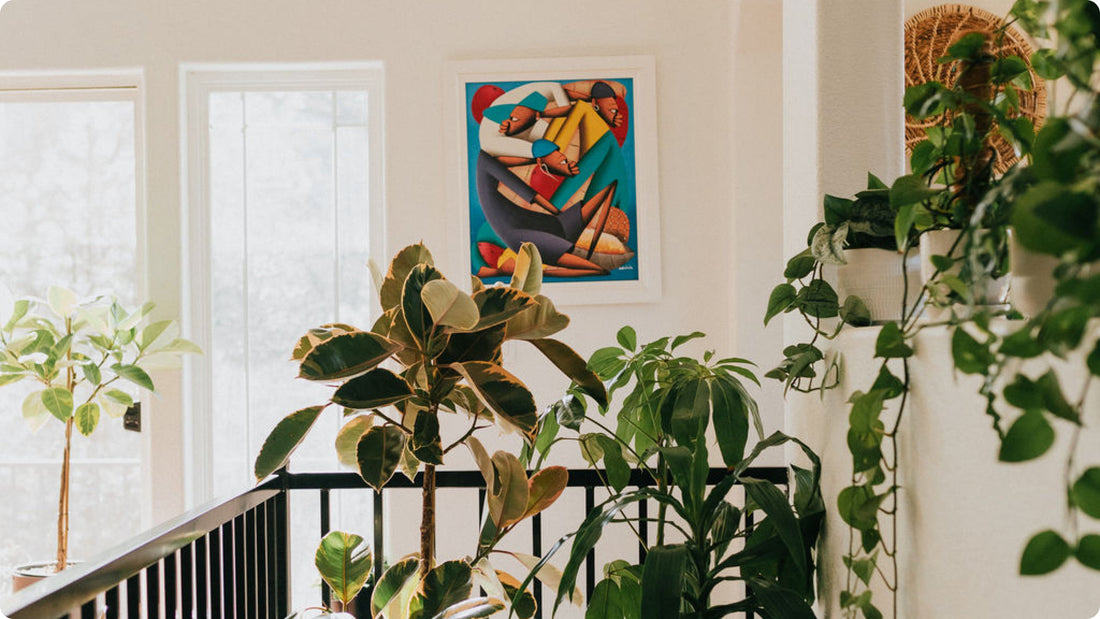 Houseplants in a beautiful sunny space