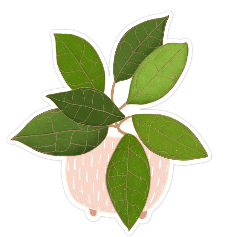 Hoya Plant Sticker