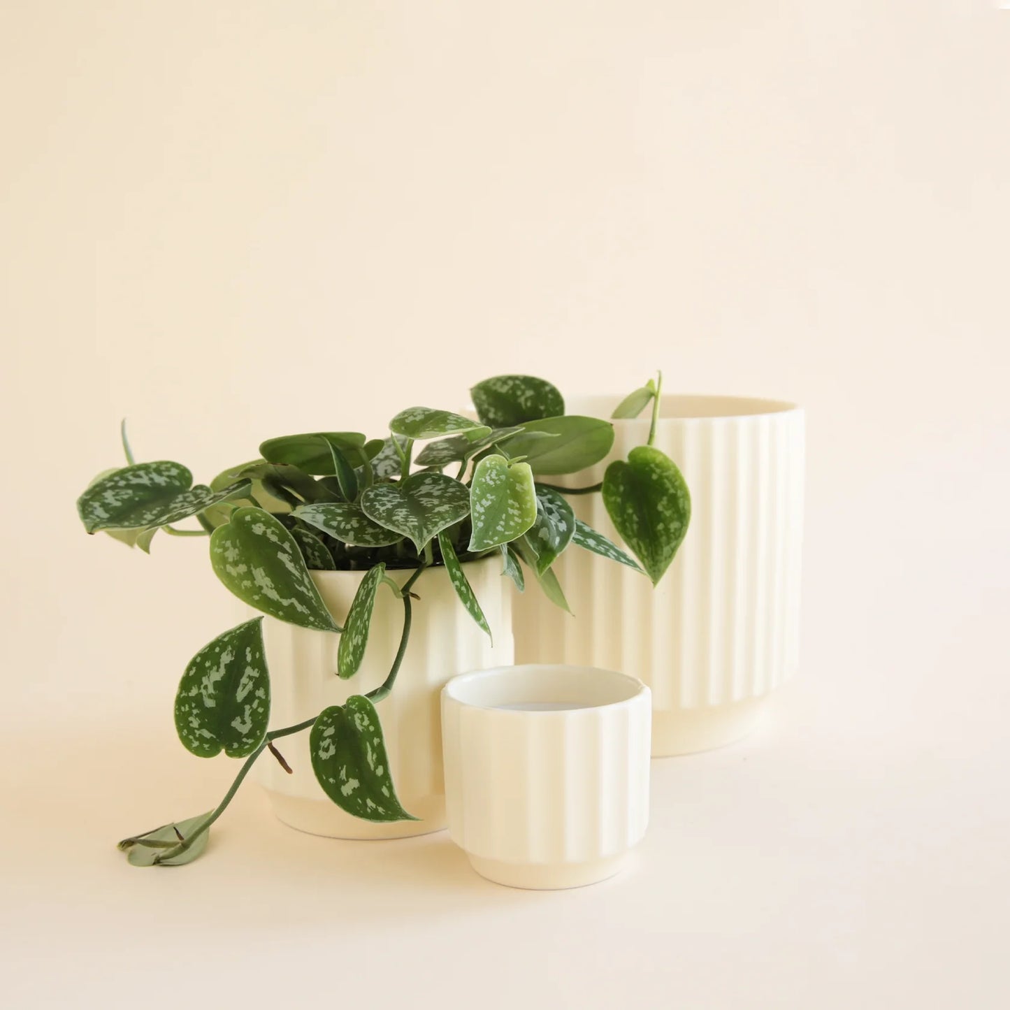 The Monroe Pot - Vintage White