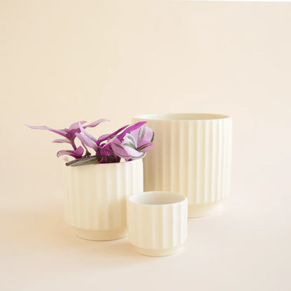 The Monroe Pot - Vintage White