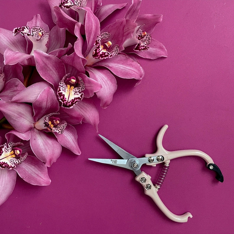 Pruning Shears