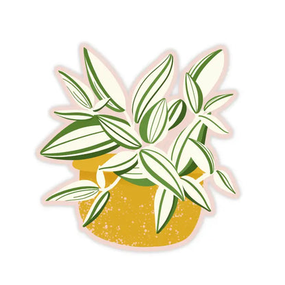 White Tradescantia Plant Sticker