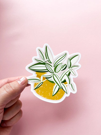 White Tradescantia Plant Sticker